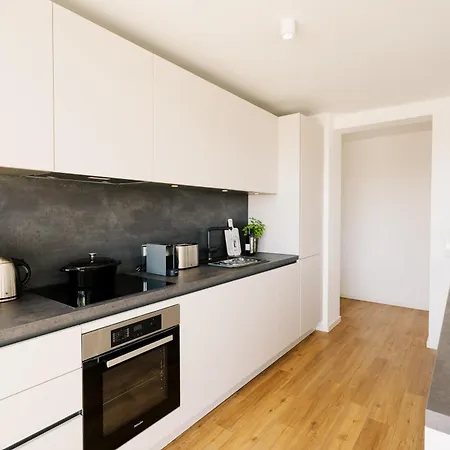 124 Qm - Exklusiv & Angebunden - Werse Loft By Youpartments *